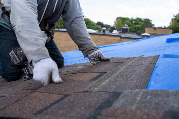 Best Emergency Roof Repair  in Jellico, TN