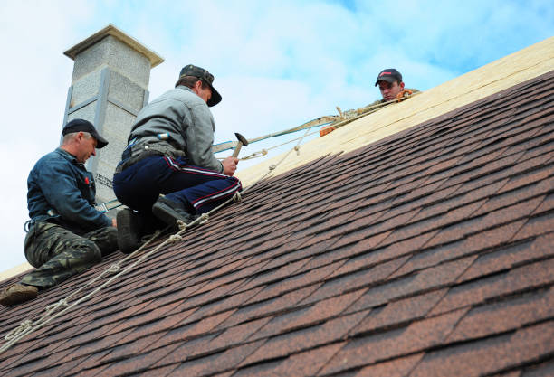 Best Local Roofing Companies  in Jellico, TN