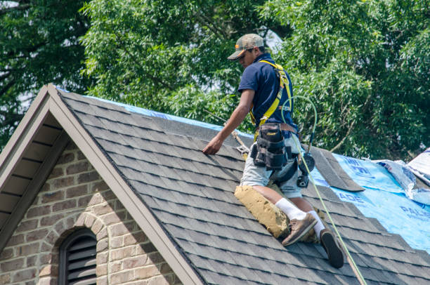 Roof Gutter Cleaning in Jellico, TN